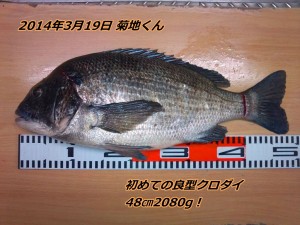 176-1
