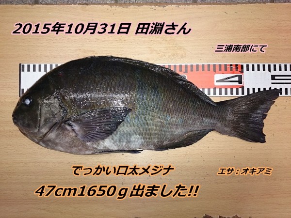 6位