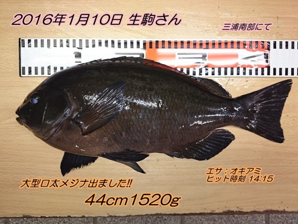 11位