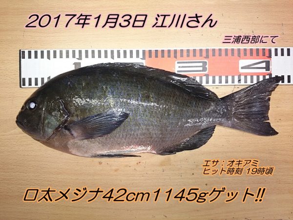 8位