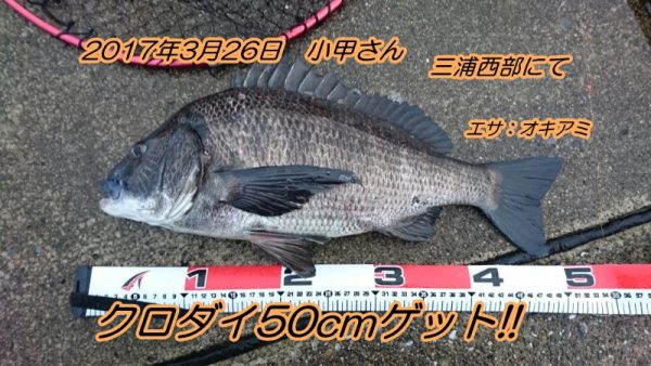 14905172596370