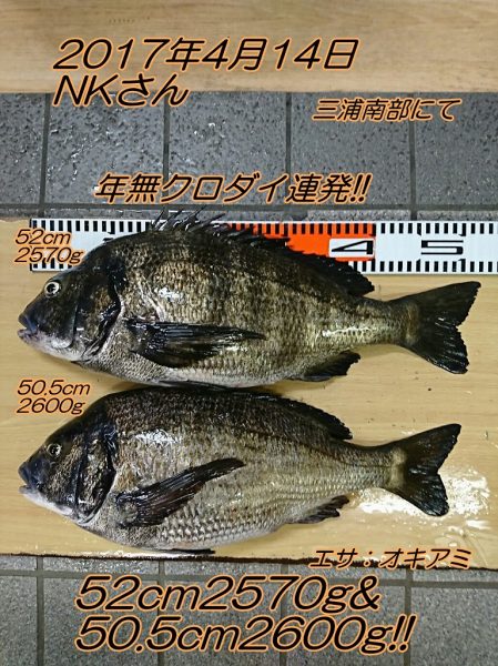 13位