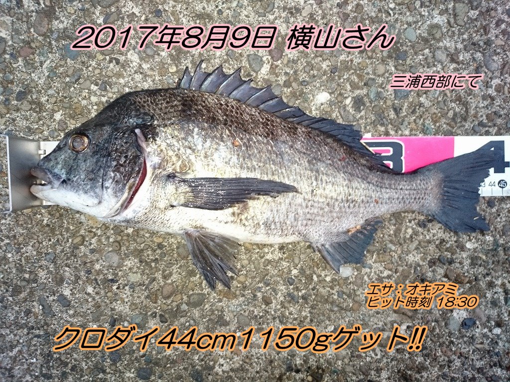 青物用付けエサ多種あります エサの釣り王