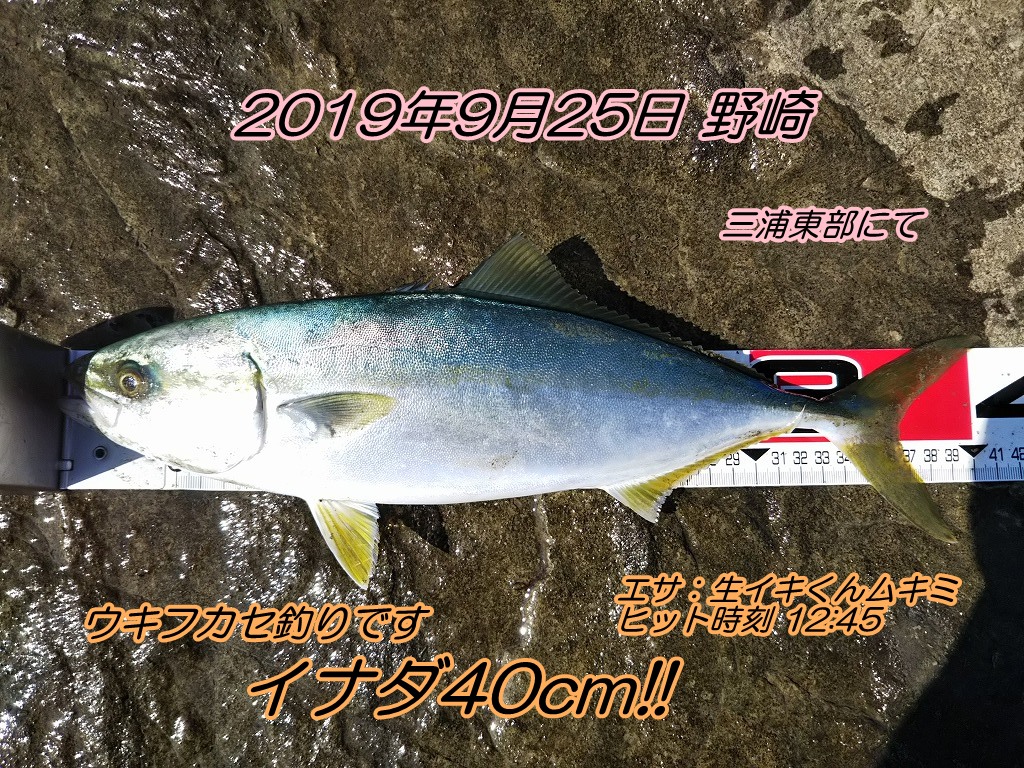 磯釣りでカワハギ28 5cm イナダ40cm エサの釣り王