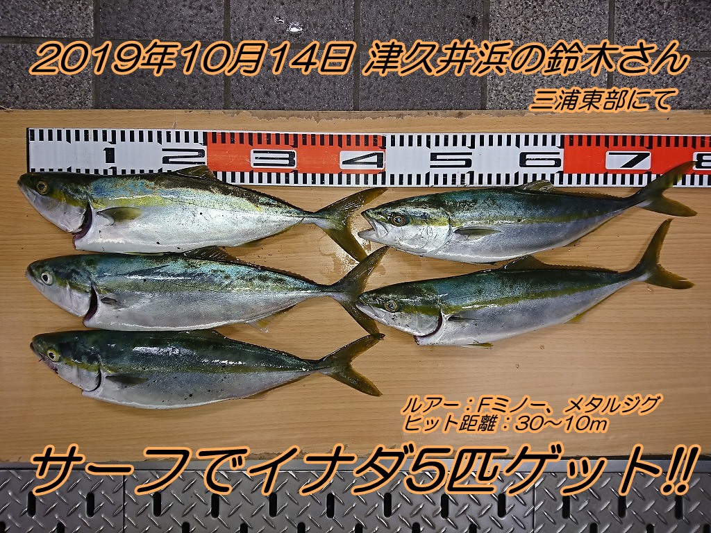 サーフでイナダ5匹ゲット エサの釣り王