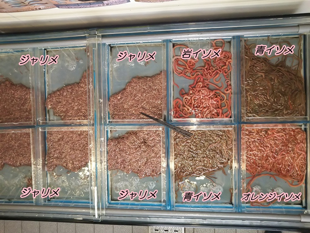 イソメ類 満タン入りました エサの釣り王