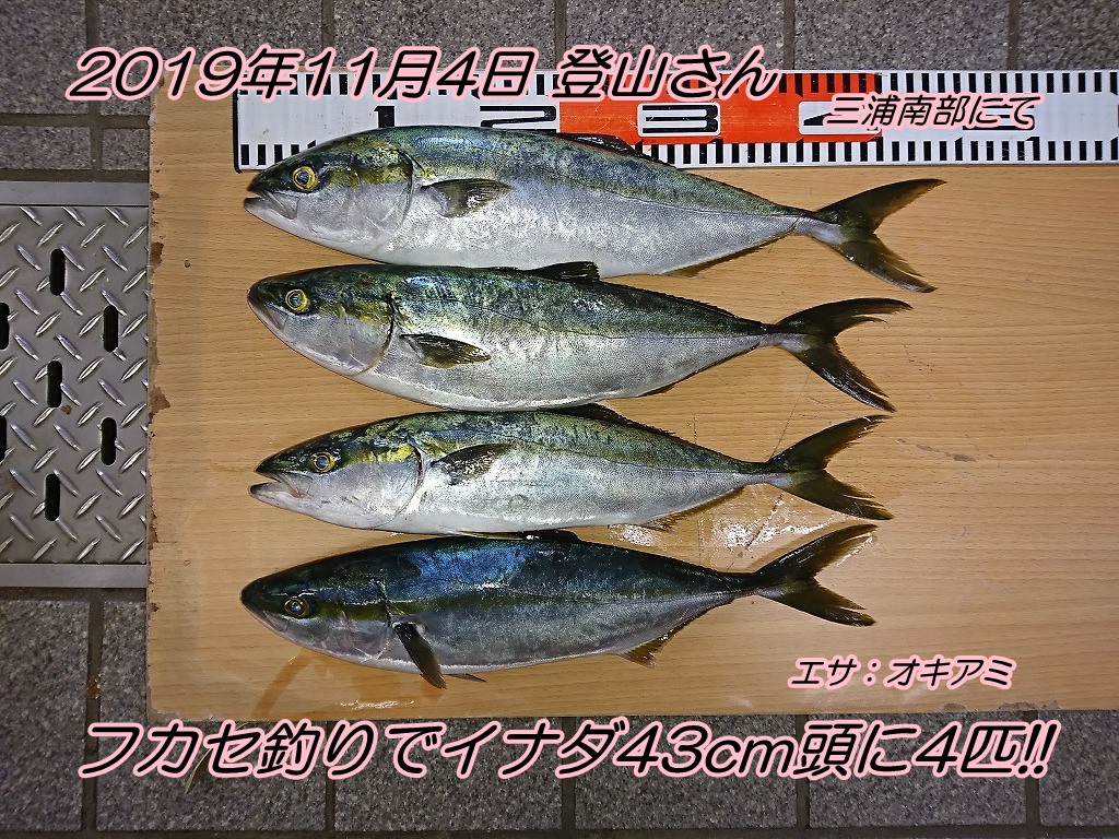 フカセ釣りでイナダ43cm頭に4匹 エサの釣り王