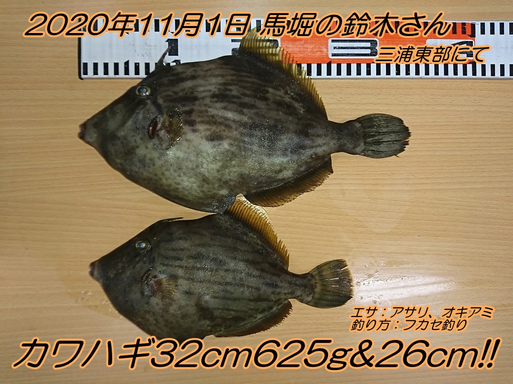 釣り フカセ