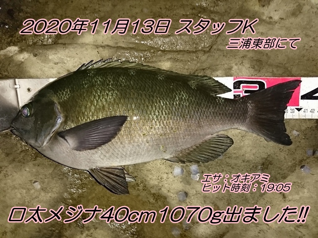 暖かいですね エサの釣り王