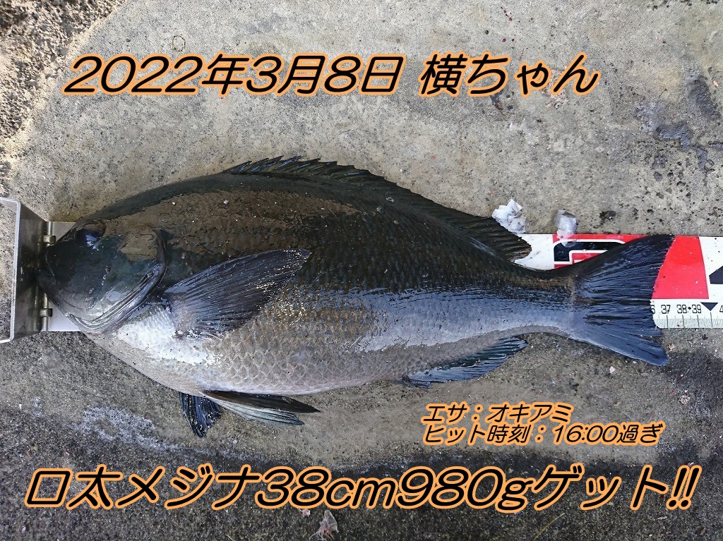 春の夜はメバルの夜釣りがお勧めです エサの釣り王