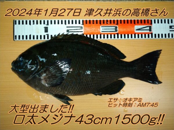 13位